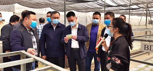 自治區(qū)發(fā)展改革委定點幫扶都安縣駐村工作隊赴南寧市、百色市開展鄉(xiāng)村振興調(diào)研