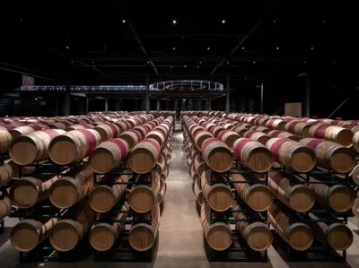 青銅峽市葡萄酒產業(yè)專家服務基層活動啟動