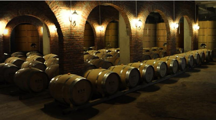 【看長江之變】生態(tài)君子谷:綠色山谷里的甜蜜事業(yè)