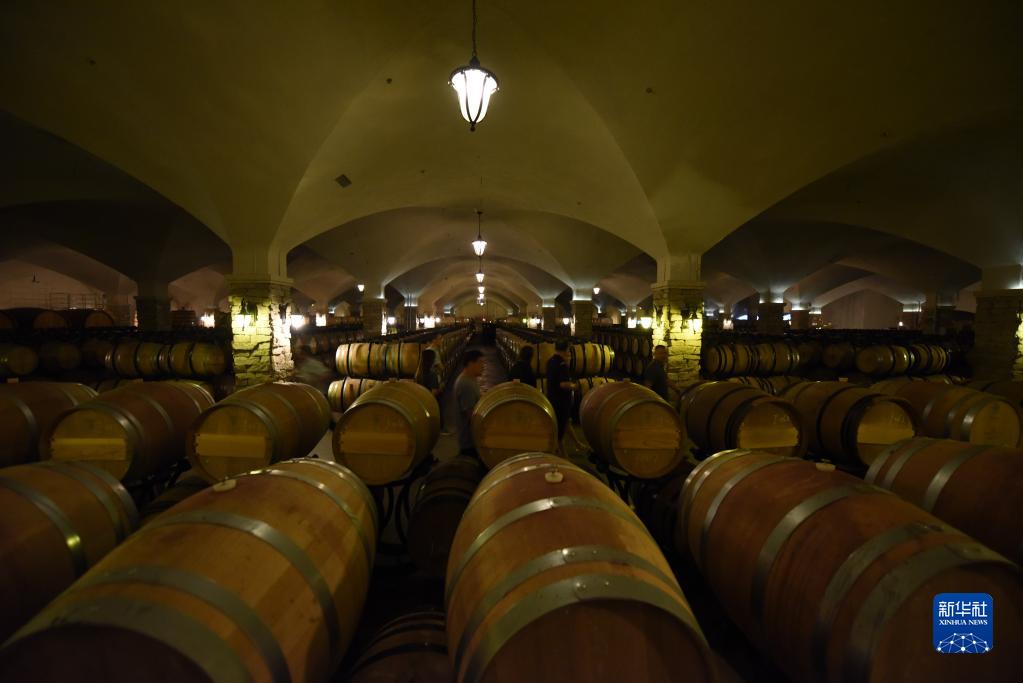 小葡萄撬動大產(chǎn)業(yè)