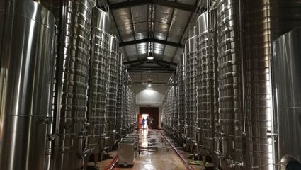 浪吳忠|走進(jìn)東方裕興酒莊 感受獨(dú)特的戈蕊紅