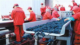 11月5日首屆國際進(jìn)博會開幕 中國準(zhǔn)備 買買買