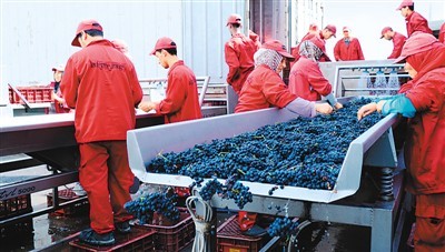 首屆國際進(jìn)博會 全球葡萄酒買家新天堂